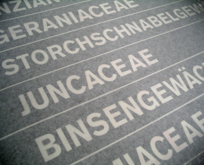 Arten_IMGP9087